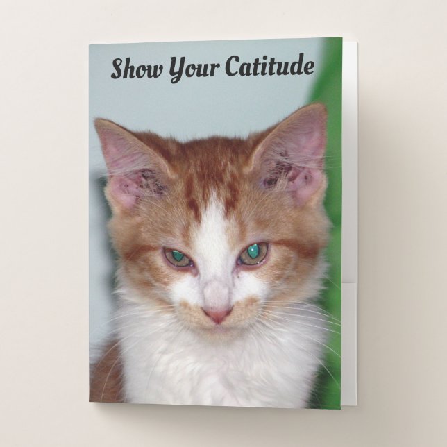 Reba's Catitude - Cat / Kitten Pocket Folders (Front)