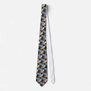 Rebbe Neck Tie