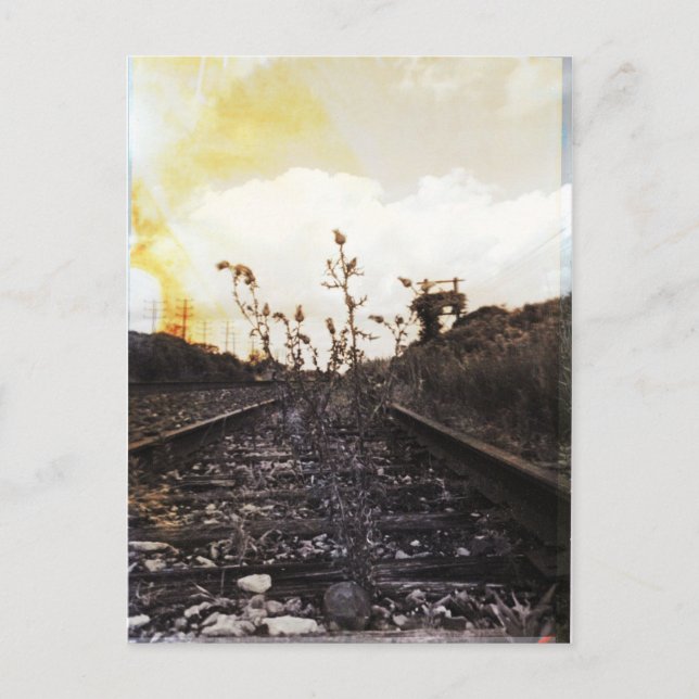 Rebirth Between the Rails Postcard (Front)