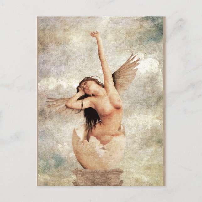 Rebirth Postcard (Front)