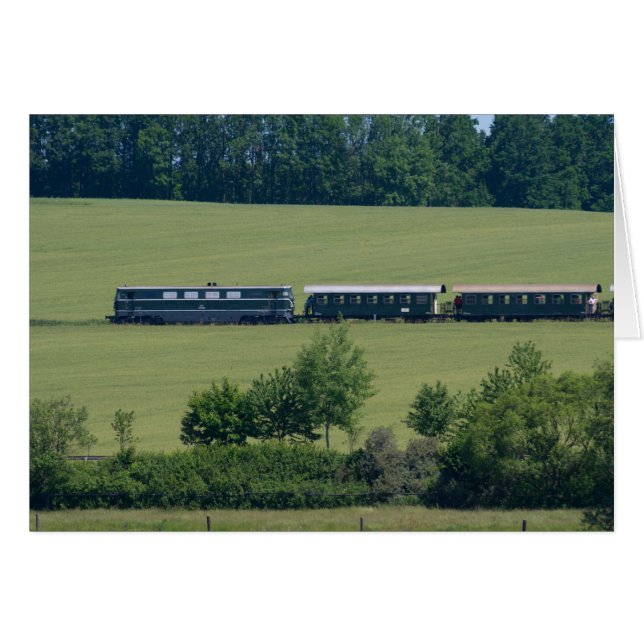 Reblaus Express Cards (Front Horizontal)