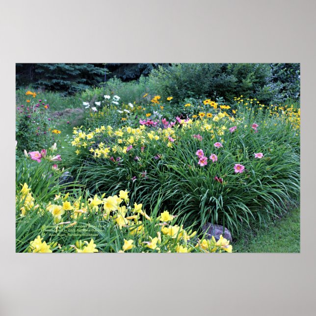 Reblooming Daylily Gardens Rainy Day Poster (Front)