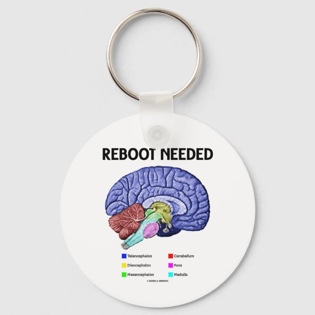 Reboot Needed (Anatomical Brain Humor) Keychain (Front)