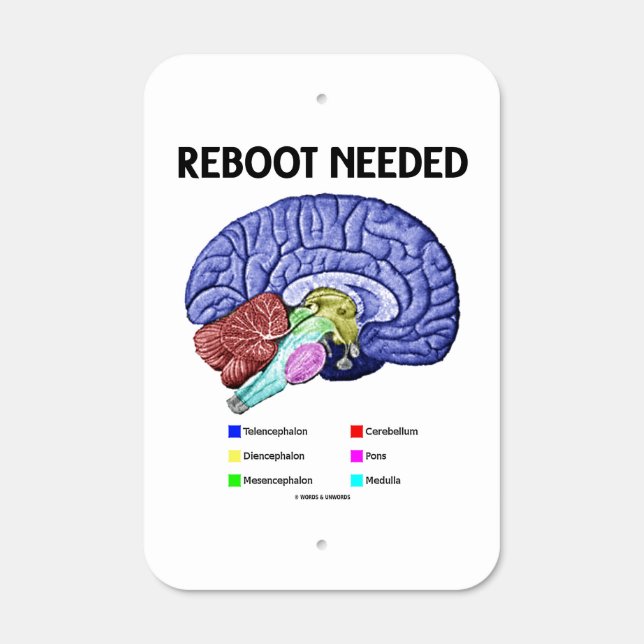 Reboot Needed Brain Anatomy Geek Humor Metal Sign (Front)