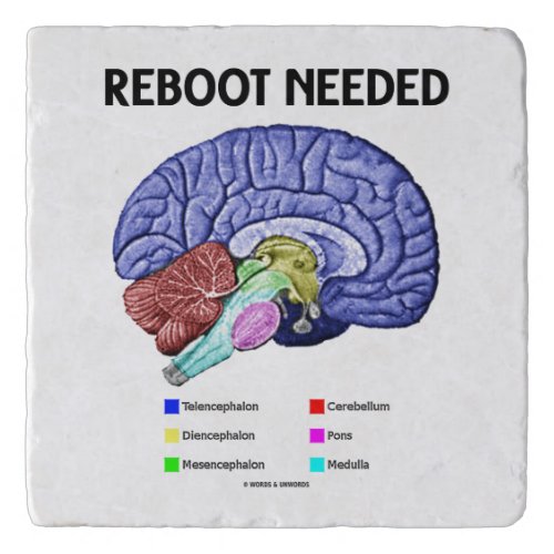 Reboot Needed Brain Anatomy Geek Humor Trivet