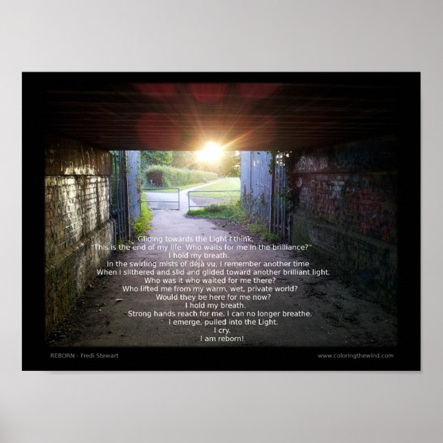 Reborn by Fredi Stewart Poster (Front)