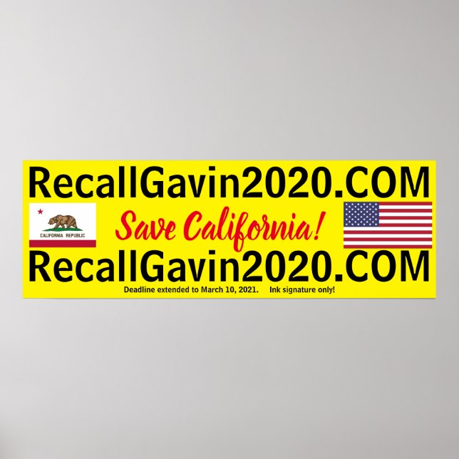 recallgavin2020 36x12 poster (Front)