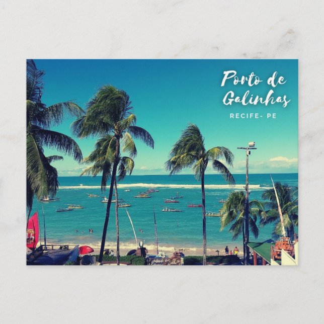 REcife - Porto De Galinhas Postcard (Front)