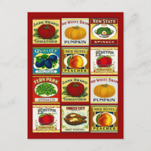 Recipe Card Postcard Design To Share Fav Recipes