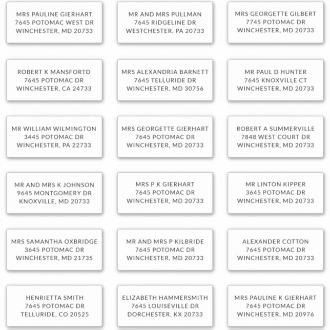 Recipient Name 18 Shipping Large Address Labels (Front)