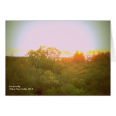 Reciprocity (Front Horizontal)