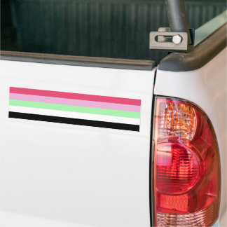 Recipromantic Pride Bumper Sticker