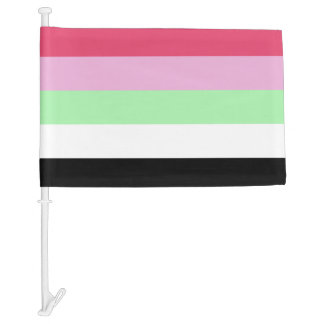 Recipromantic Pride Car Flag