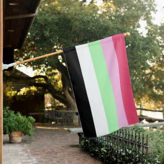 Recipromantic Pride House Flag