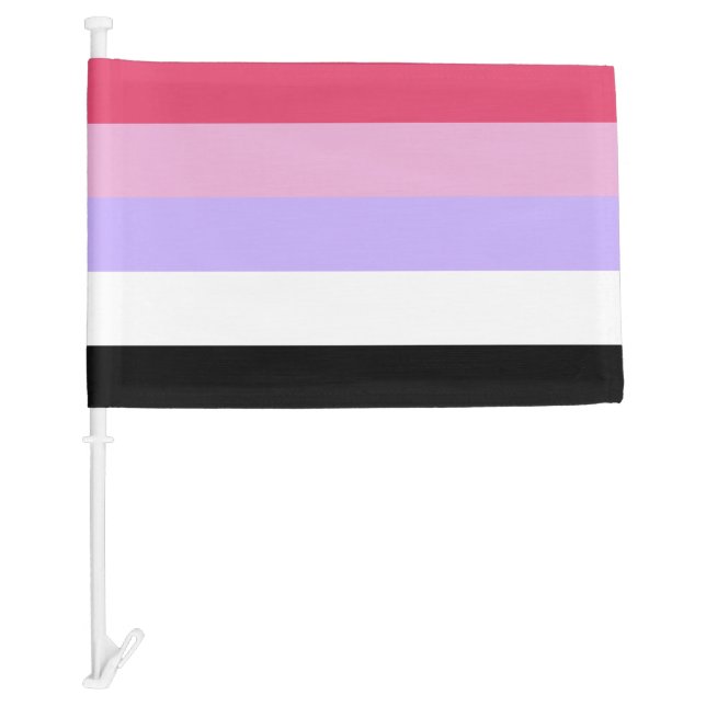 Reciprosexual Pride Car Flag (Front)