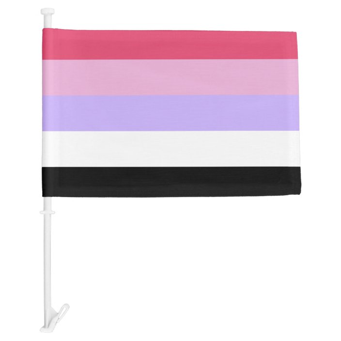 Reciprosexual Pride Car Flag | Zazzle.com