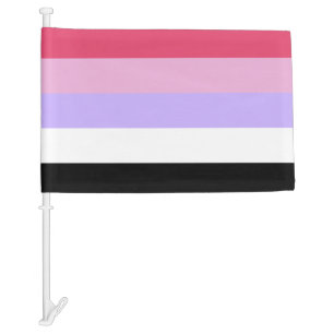 Reciprosexual Pride Car Flag
