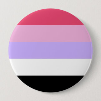 Reciprosexual Pride Flag Button