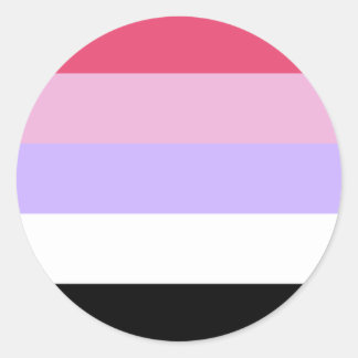 Reciprosexual Pride Flag Classic Round Sticker