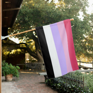 Reciprosexual Pride House Flag