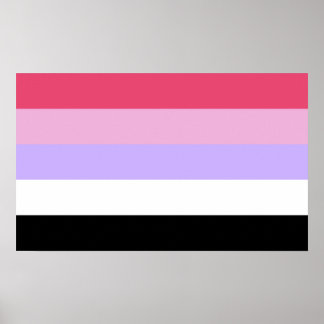 Reciprosexual Pride Poster