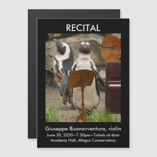 Recital Announcement Penguins Strings Piano Magnetic Invitation