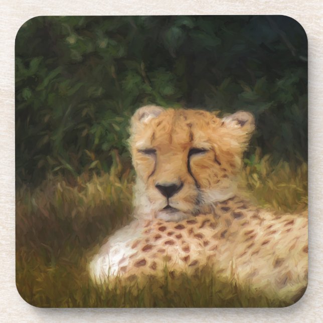 Reclining Cheetah at Fossil Rim Wildlife Center Beverage Coaster (Front)