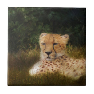 Reclining Cheetah at Fossil Rim Wildlife Center Ceramic Tile