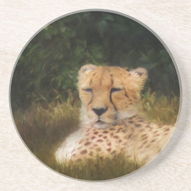 Reclining Cheetah at Fossil Rim Wildlife Center Drink Coaster (Front)