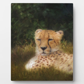 Reclining Cheetah at Fossil Rim Wildlife Center Plaque