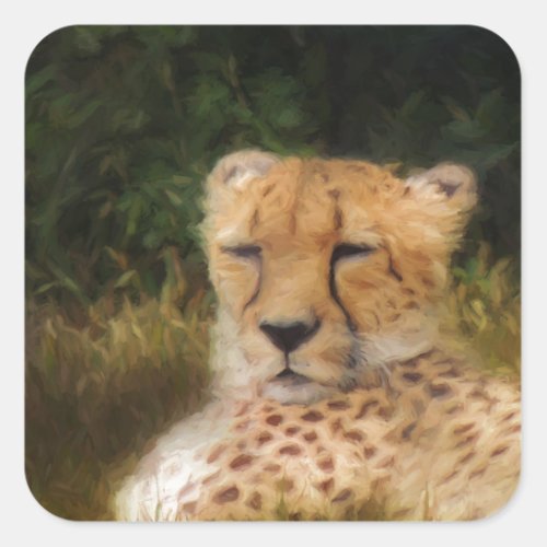 Reclining Cheetah at Fossil Rim Wildlife Center Square Sticker