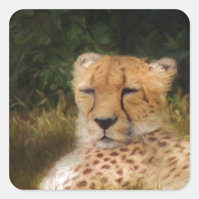 Reclining Cheetah at Fossil Rim Wildlife Center Square Sticker (Front)