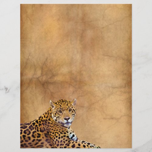 Reclining Jaguar Big Cat on Aged Parchment effect