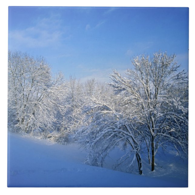 Record snow in Louisville, Kentucky. Tile (Front)