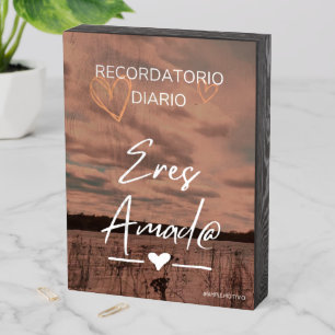 Recordatorio Diario Wooden Box Sign