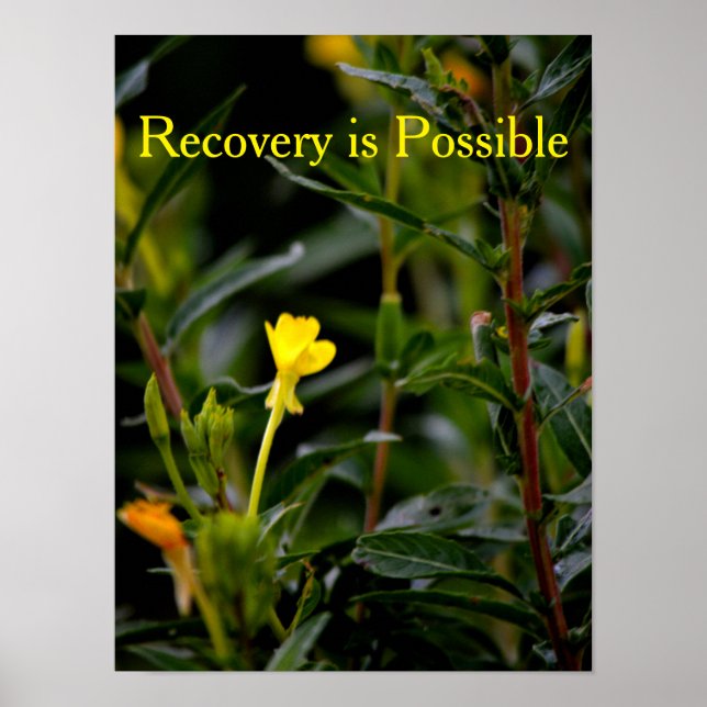 Recovery Motivational Poster (Front)