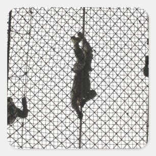 recruits completing an obstacle square sticker