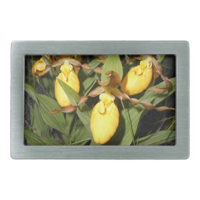 Rectangle Belt Buckle (Front)