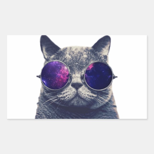 Rectangle Stickers, Glossy, 4.5 x 2.7 inch (4's) Rectangular Sticker (Front)
