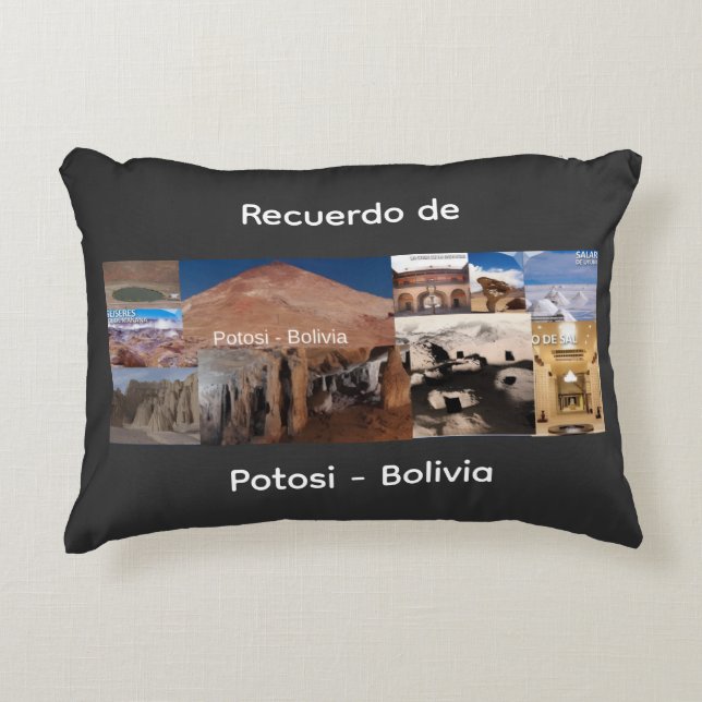 Recuerdo de Potosi Bolivia Accent Pillow (Front)