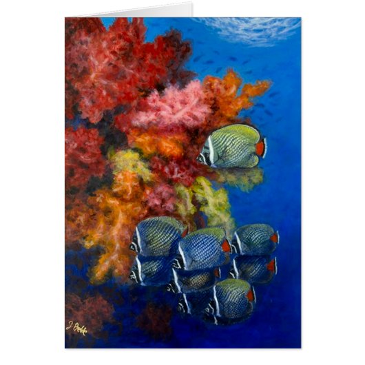 Reculated BBF with soft corals Cards (Front)