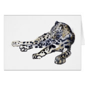 Recumbent (Front Horizontal)