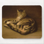 Recumbent Cat, 1898 Mouse Pad<br><div class="desc">Recumbent Cat,  1898 | by Theophile Alexandre Steinlen | Art Location: Petit Palais,  Geneva,  Switzerland | Swiss Artist | Image Collection Number: BAL50951</div>