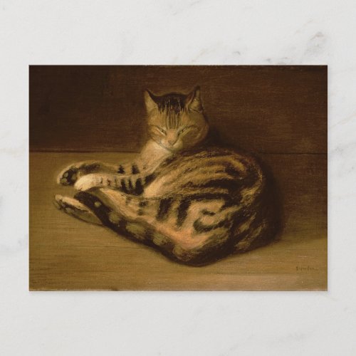 Recumbent Cat 1898 Postcard