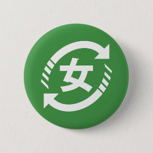Recycle Japanese Girls   Kanji Nihongo Sign Pinback Button