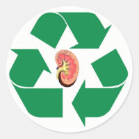 Recycle kidney