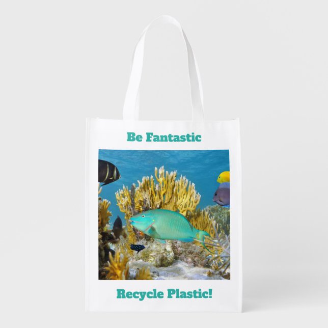 Recycle Plastic Grocery Bag (Front)