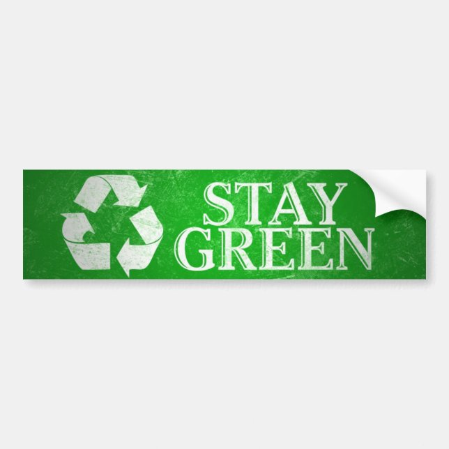 Recycle, Stay Green Bumper Sticker (Front)