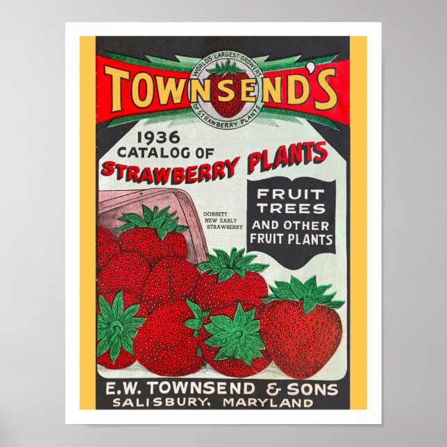 RECYCLED ART: SEED CATALOG 1936  POSTER (Front)