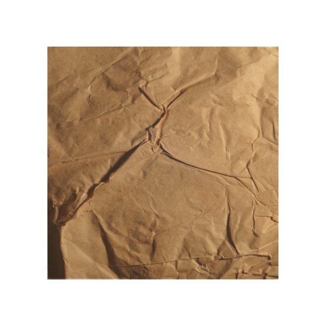Recycled Paper: Eco-Friendly Texture. Wood Wall Art (Front)